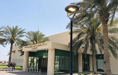 LED Garden Light in Saudi Arabia