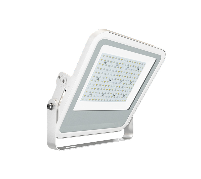 ATEX 100 Watt LED Flood Light